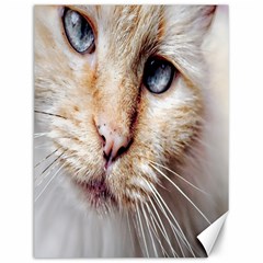 Blue Eyes Canvas 12  X 16  (unframed) by dray6389