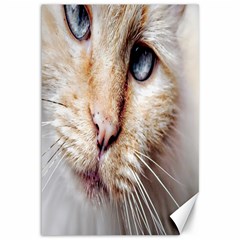 Blue Eyes Canvas 12  X 18  (unframed) by dray6389