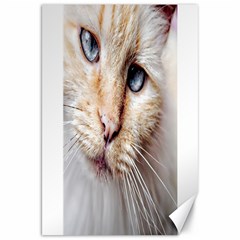 Blue Eyes Canvas 20  X 30  (unframed) by dray6389