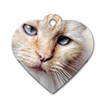 BLUE EYES Dog Tag Heart (Two Sided) Back