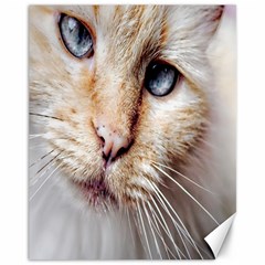 Blue Eyes Canvas 11  X 14  9 (unframed) by dray6389