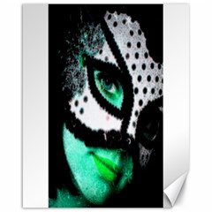 Masked Canvas 16  X 20  (unframed) by dray6389