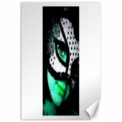 Masked Canvas 20  X 30  (unframed) by dray6389