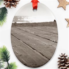 Laguna Beach Walk Oval Ornament (two Sides) by hlehnerer