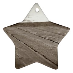 Laguna Beach Walk Star Ornament (two Sides) by hlehnerer