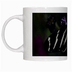 Butterfly 059 001 White Coffee Mug by pictureperfectphotography