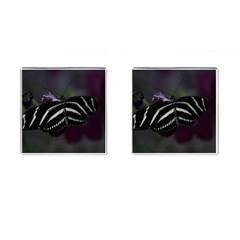 Butterfly 059 001 Cufflinks (square) by pictureperfectphotography