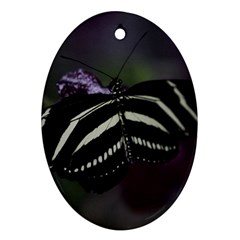 Butterfly 059 001 Oval Ornament (two Sides)