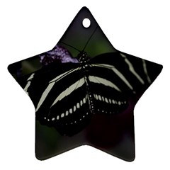 Butterfly 059 001 Star Ornament (two Sides) by pictureperfectphotography