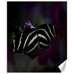 Butterfly 059 001 Canvas 8  X 10  (unframed)