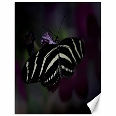 Butterfly 059 001 Canvas 12  X 16  (unframed) by pictureperfectphotography