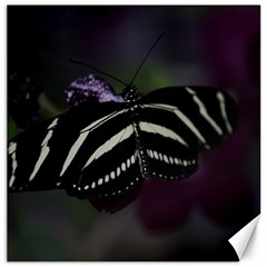 Butterfly 059 001 Canvas 16  X 16  (unframed) by pictureperfectphotography