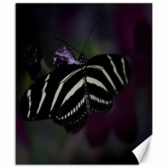 Butterfly 059 001 Canvas 20  X 24  (unframed) by pictureperfectphotography