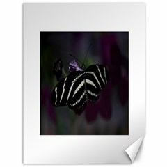 Butterfly 059 001 Canvas 36  X 48  (unframed) by pictureperfectphotography