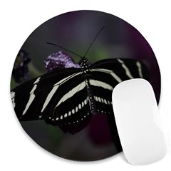 Butterfly 059 001 8  Mouse Pad (round) by pictureperfectphotography