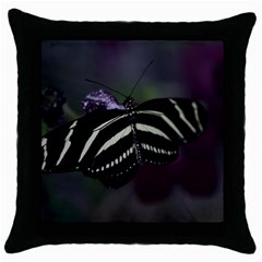 Butterfly 059 001 Black Throw Pillow Case by pictureperfectphotography