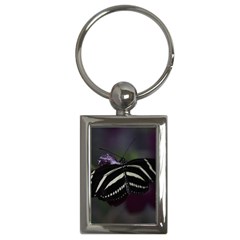 Butterfly 059 001 Key Chain (rectangle) by pictureperfectphotography