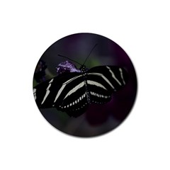 Butterfly 059 001 Drink Coaster (round) by pictureperfectphotography