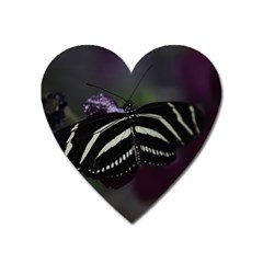 Butterfly 059 001 Magnet (heart) by pictureperfectphotography