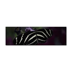 Butterfly 059 001 Bumper Sticker 10 Pack