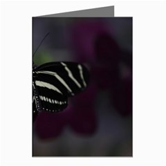 Butterfly 059 001 Greeting Card (8 Pack) by pictureperfectphotography