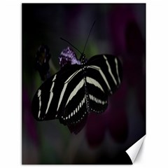 Butterfly 059 001 Canvas 18  X 24  (unframed) by pictureperfectphotography