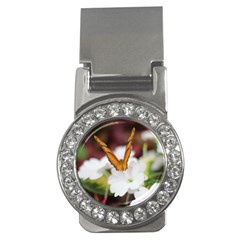 Butterfly 159 Money Clip (cz)