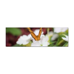 Butterfly 159 Bumper Sticker