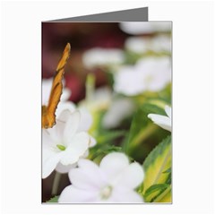 Butterfly 159 Greeting Card by pictureperfectphotography