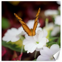 Butterfly 159 Canvas 12  X 12  (unframed) by pictureperfectphotography