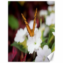 Butterfly 159 Canvas 12  X 16  (unframed) by pictureperfectphotography