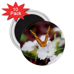 Orange Butterfly  2 25  Button Magnet (10 Pack) by pictureperfectphotography