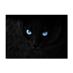 Black Cat A4 Sticker 10 Pack by cutepetshop