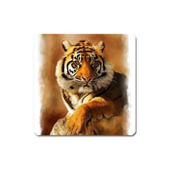 Tiger Magnet (square)