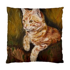 Cute Cat Cushion Case (two Sides) by cutepetshop