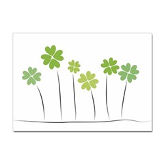 Clover A4 Sticker 10 Pack by magann