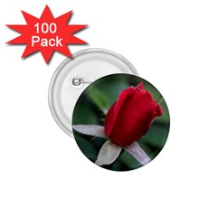 Sallys Flowers 032 001 1 75  Button (100 Pack) by pictureperfectphotography