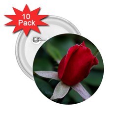 Sallys Flowers 032 001 2 25  Button (10 Pack) by pictureperfectphotography