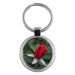 Sallys Flowers 032 001 Key Chain (round)