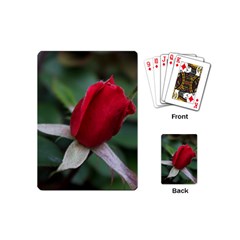 Sallys Flowers 032 001 Playing Cards (mini) by pictureperfectphotography