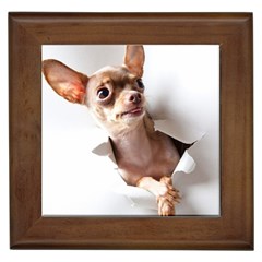 Chihuahua Framed Ceramic Tile