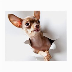 Chihuahua Glasses Cloth (Small, Two Sided)