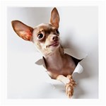 Chihuahua Glasses Cloth (Medium, Two Sided) Front