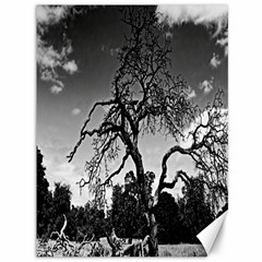 Black And White Dried Tree  Canvas 36  X 48  (unframed) by designsbyvee