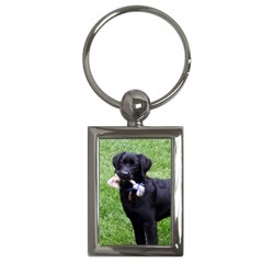 Black Lab Key Chain (rectangle) by MaxsGiftBox