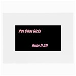 Petchatgirlsrule Glasses Cloth (Large, Two Sided) Front