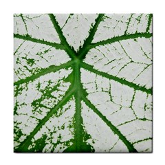 Leaf Patterns Ceramic Tile by natureinmalaysia