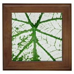 Leaf Patterns Framed Ceramic Tile by natureinmalaysia