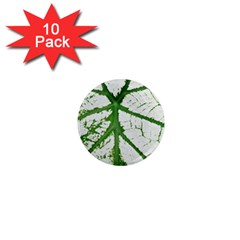 Leaf Patterns 1  Mini Button Magnet (10 Pack) by natureinmalaysia