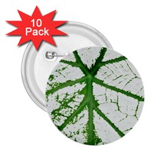 Leaf Patterns 2 25  Button (10 Pack) by natureinmalaysia